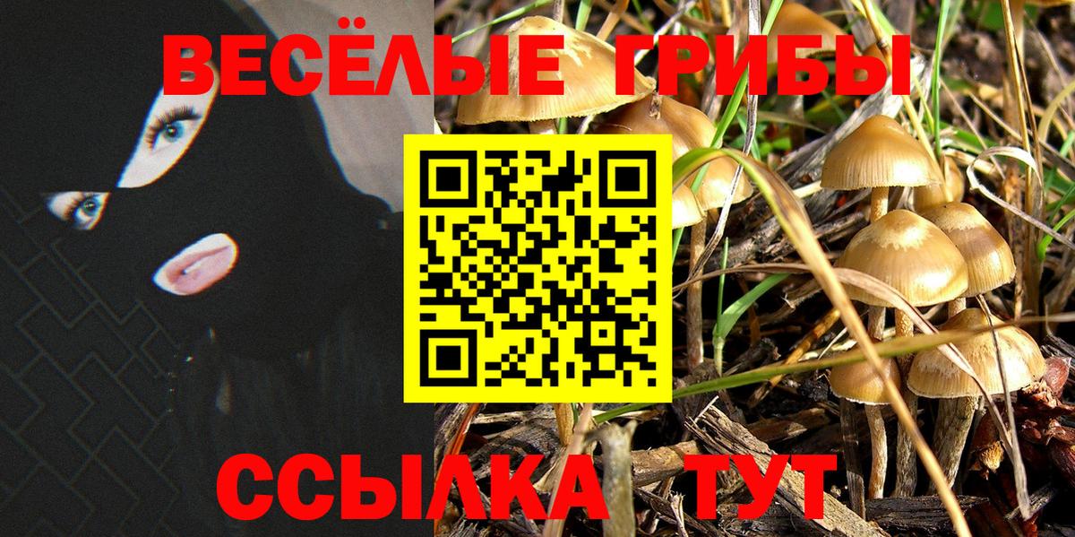 Псилоцибиновые грибы MAGIC MUSHROOMS Боровичи