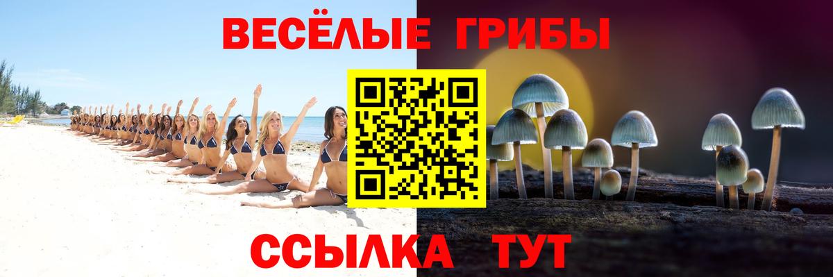 Боровичи  Галлюциногенные грибы MAGIC MUSHROOMS  Вход с VPN 